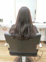 -YESIDO椰岛造型