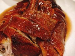 金牌烧鹅-岭南海晏楼(东晓南店)