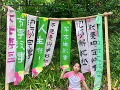 -美的鹭湖森林度假区