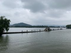 -鲁镇