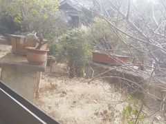 -万景茶庄·台州菜