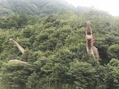 -梦幻奥陶纪景区