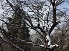 -终南山南五台景区