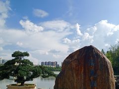 -洛龙公园