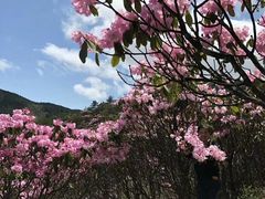 -井冈山风景名胜区