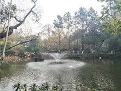 -墅园