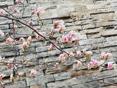 -东华门大街小区