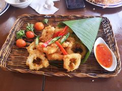 -茉莉.Red Crab