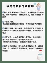 -Fundi张玉珊修身堂·indiba·BTL科技瘦身