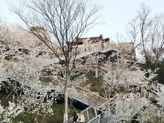-幕燕滨江·燕子矶公园