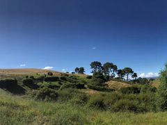 -怀托摩萤火虫洞