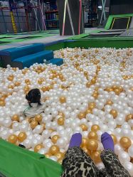 -反弹蹦床公园·亲子乐园·团建·派对(尚品奥莱店)