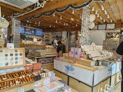 -猫的天空之城概念书店(丽江古城饮玉巷店)