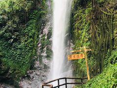 -莫里热带雨林景区