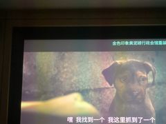 -金色印象·HiFi影音·按摩足疗(龙腾路店)
