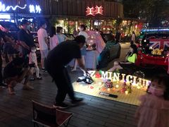 -MR鹅外