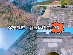 -紫荆关