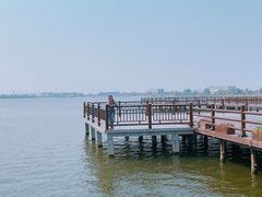 -鹅湖玫瑰文化园