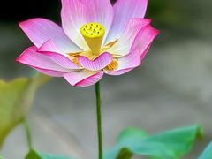 -天台山国清景区(国清寺)