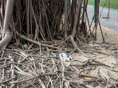 -三亚海棠湾万丽度假酒店