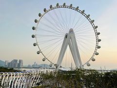 -宝安西湾红树林湿地公园
