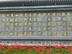 -西安大兴善寺