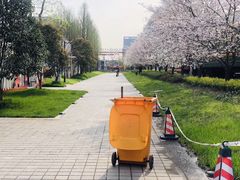 -新天地活力PARK