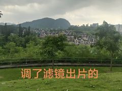 -白石龙音乐公园