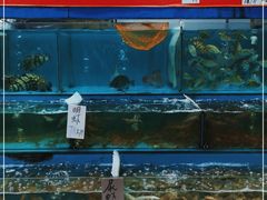 -新享乐海鲜(翠华路店)