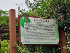 -广西壮族自治区药用植物园