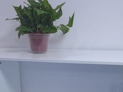 -北京美家洁开荒保洁清洗公司