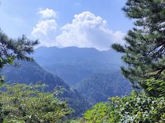 -庐山风景区花径公园