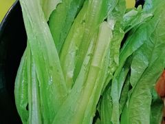 油麦菜-活鱼馆(宜兴埠店)