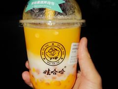 -娃哈哈·奶茶(武林店)