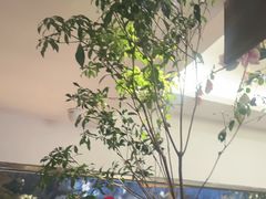 -食悦江南·淮扬菜·烤鸭(亚运村·惠新店)