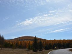 -塞罕坝国家级自然保护区