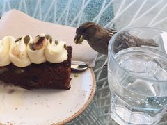 -Takapuna Beach Cafe