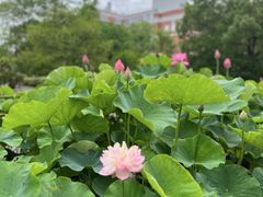 -杭州电子科技大学(下沙校区)