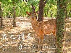 -秦皇岛野生动物园