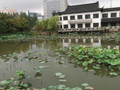 -南通濠河风景名胜区