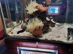 -太平洋海底世界