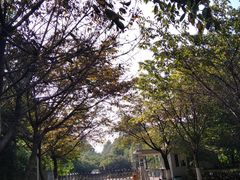 -成都工业学院(郫都校区)