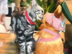 -小时光咖啡馆(北锣鼓巷店)