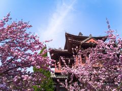 -西安青龙寺遗址景区