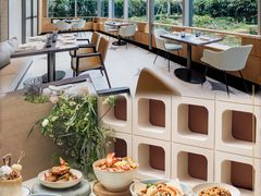 -新加坡乌节希尔顿酒店 (SG Clean)