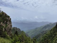 -牛背梁国家森林公园