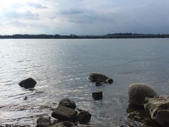 -丁香湖公园