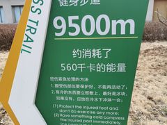 -南京老山国家森林公园