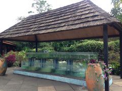 -开心农场温泉度假村