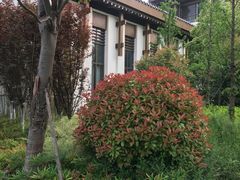 -合肥融创永乐半山酒店·永乐半山西餐厅